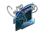 Summer (Foil) | Boston 2018 image